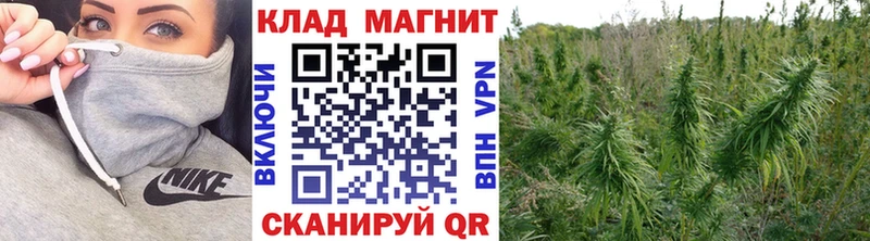 Купить МЕТАДОН  Cocaine  Меф мяу мяу  МАРИХУАНА  ГАШИШ  Вяземский