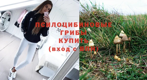 круглые Каменногорск