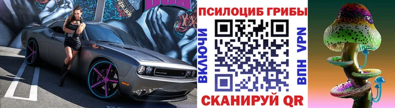 Купить закладки  Вяземский  Псилоцибиновые грибы мухоморы 